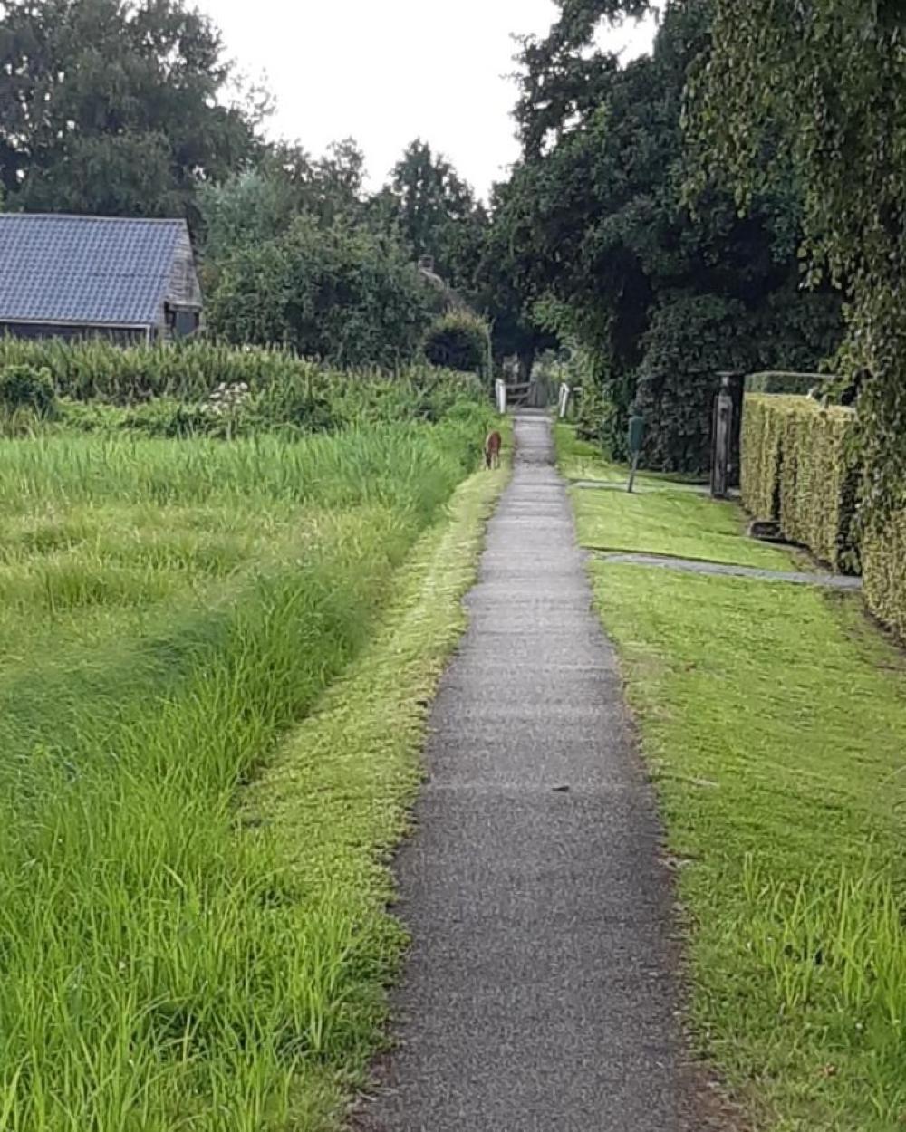 Huizenruil: 2 onder 1 kap in Giethoorn, foto 3